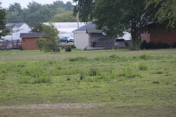 34504742663_e67701486d_z