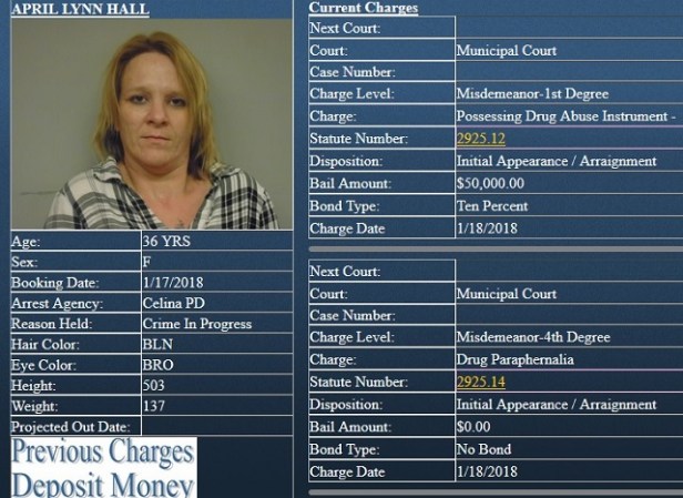 April Hall Charges
