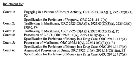 indictment ASwartz.jpg