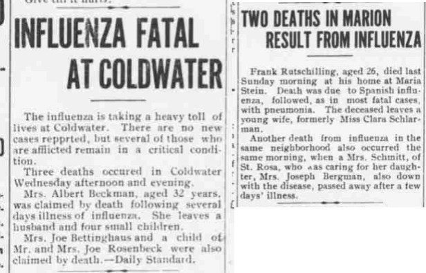 FLU - 11-11-1918 deaths