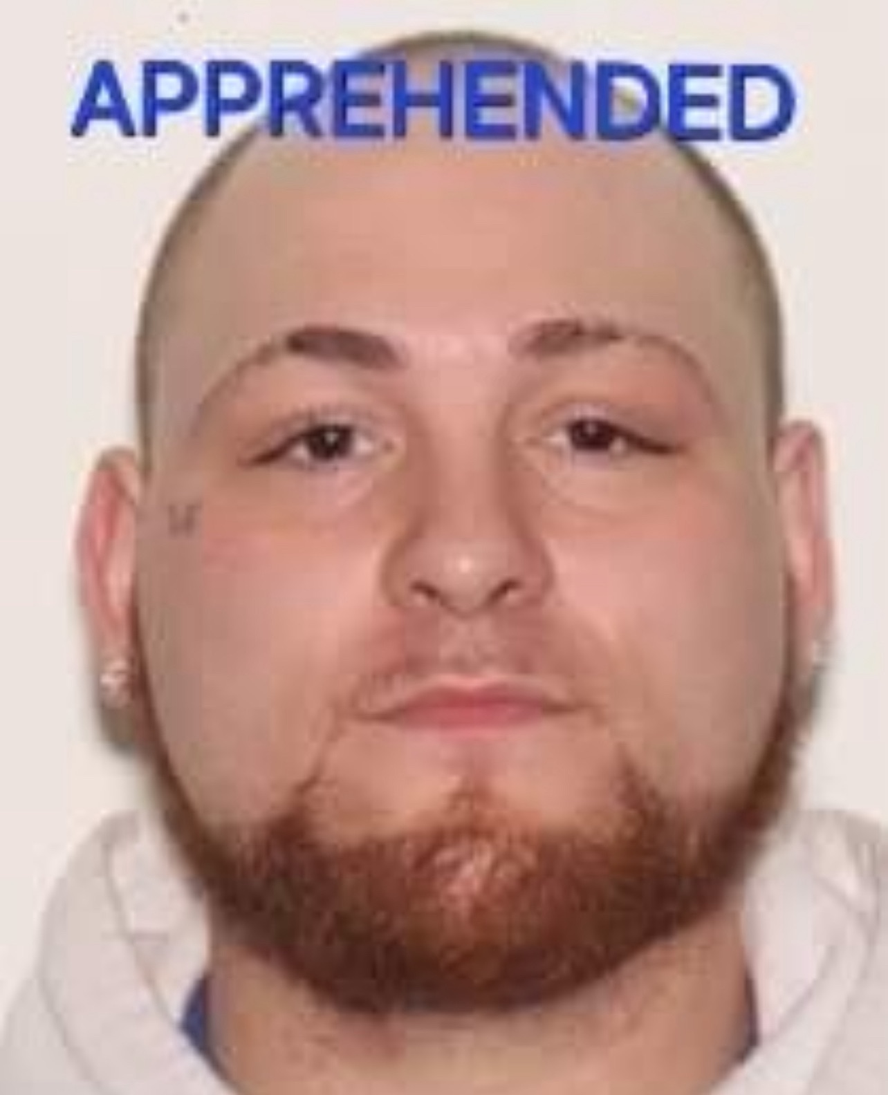 Decatur Police Apprehended Suspect Wanted On Aggravated Battery ...